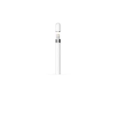 Apple Pencil 1st Generation – EWorld Computer