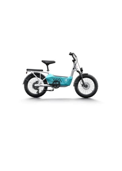 Himiway Cargo Ebike C3