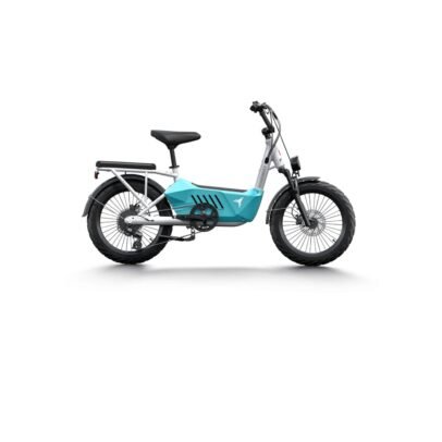 Himiway Cargo Ebike C3