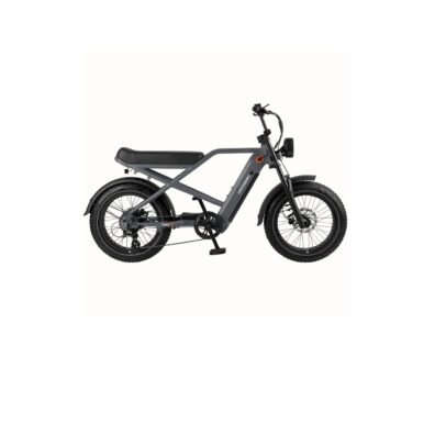 Retrospec Valen Rev+ Fat Tire Electric Bike