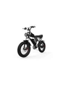 Ridstar Q20 E-BIKE 1500W Motor 48V 20AH Battery